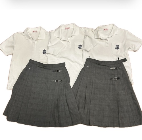 ���m�� ���É����ۍ��Z�@�����@�ĕ��@�|���V���c�@�ăX�J�[�g