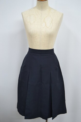  �Z��ʌ��� ����k�����w�Z �ăX�J�[�g ���n�t�� ����6139