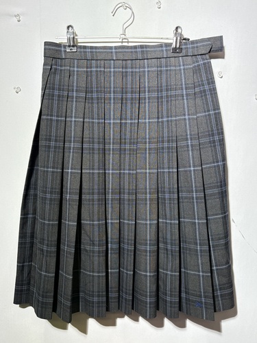  6704r �����s �s�� �{�������Z �v���[�c�X�J�[�g ���q���� W66 