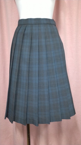 [�s��] No.98 �`�F�b�N�X�J�[�g �s����