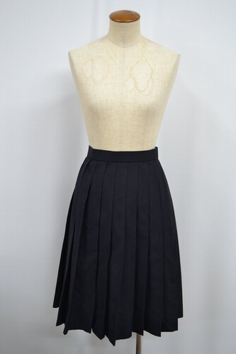  �Z��ʌ��� ����k�����w�Z �ăX�J�[�g ����6140