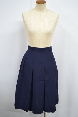  �Z��ʌ� �����R�s�� �����w�Z �ăX�J�[�g ���n�t�� ����6141