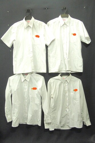  6712k 4���Z�b�g �Ȗ،� �F�s�{�s�� �z�k���w �����E���� ���q�p �w��u���E�X ���q����