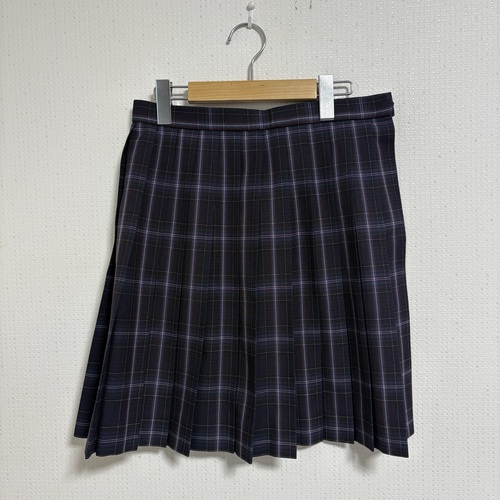 [�s��] �y0209�z�@���w�Z�@���Z�@�`�F�b�N�X�J�[�g�~���@�@W66��48