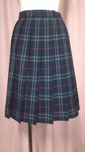 [�s��] No.104 �傫��size �`�F�b�N�X�J�[�g �s���~����