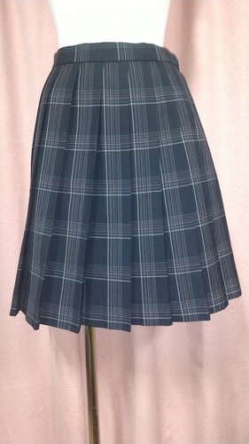 [�s��] No.102 �`�F�b�N�~�j�X�J�[�g �s���~����