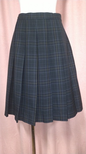 [�s��] No.100 �傫��size �`�F�b�N�X�J�[�g �s���~����