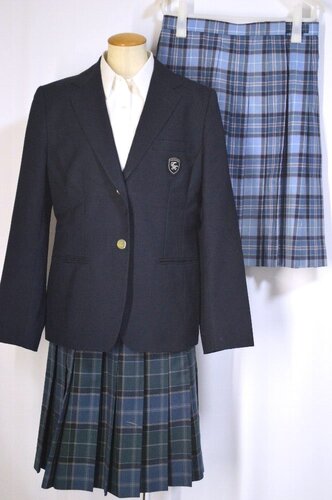  �������s �鋞�����q���w�Z �u���U�[�~�ĕ� ��size�X�J�[�g��T5715