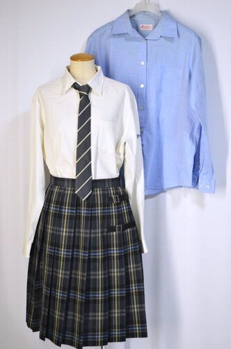  ����size �����s ��B��w��ꍂ���w�Z �ĕ� �l�N�^�C��T5695