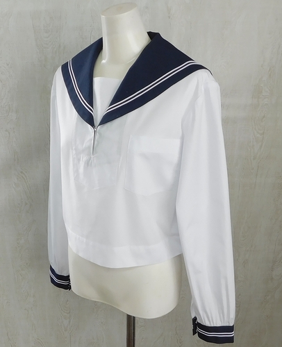  ���F�{���y�P�i�z�F�{�s���o���쒆�w �����a�����ĕ���