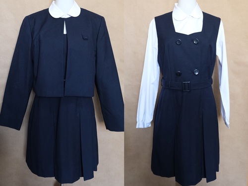 �_�ސ쌧 �������� �傫���T�C�Y �@����w���q�����w�Z SOGO ���n�̎������ƂĂ��ǂ��ł�