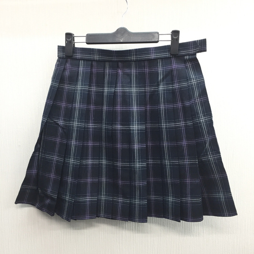  c���傫��W69L53�����q�w������ �l�C�`�F�b�N�� �ă~�j�X�J�[�g�����E���ȂǕs��