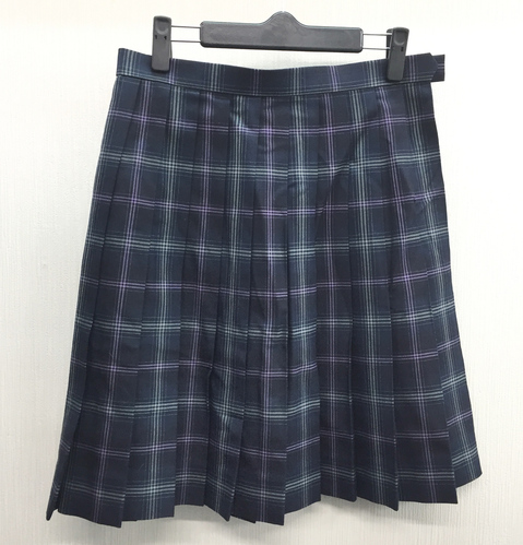  c�����i �傫��W69L53�����q�w������ �l�C�`�F�b�N�� �ăX�J�[�g�����E���Ȃ� �s��