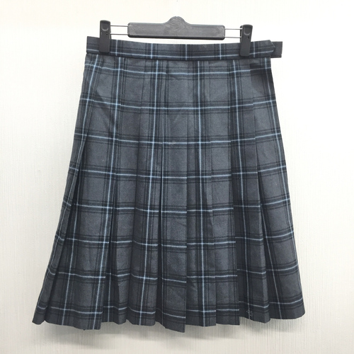  c�����i���Ȗ،����������������w�Z �l�C�`�F�b�N�� �ăX�J�[�g W66L54���O���[�Ȃ�