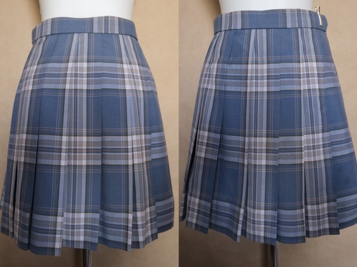 �_�ސ쌧 �_�ސ쌧 ���s���� ���򑍍������w�Z SKYWARD 