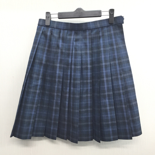  c�����i �傫��W69L50�������s���v���Đ������w�Z �l�C�`�F�b�N�� �ăX�J�[�g���Z���Ȃ�