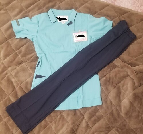 [�s��] �s���@���Z�@�Ō���K���@���D�t��