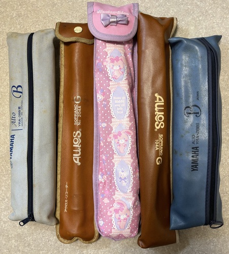 [�s��] ���q�w���@�F�X�ȃ��R�[�_�[�@5�{