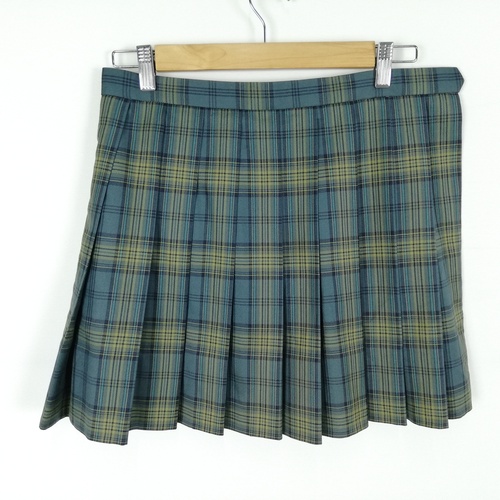 �����s �H�����Z�@�傫���T�C�Y�@�`�F�b�N�X�J�[�g�@�΁E���n�@�~�@UU334