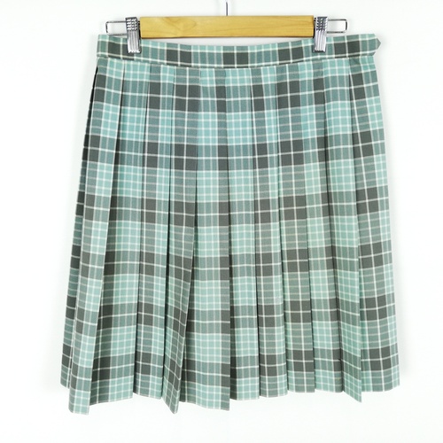 [�s��] �`�F�b�N�X�J�[�g�@�傫���T�C�Y�@�O���[�E�Όn�@�ĕ��@UU337