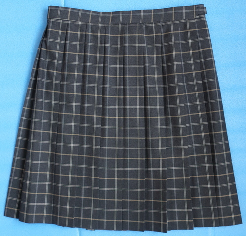 �R���� �������Z �ăX�J�[�g