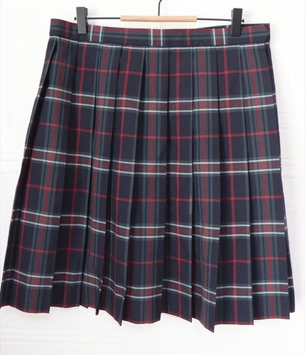 �����s �s�� �����V�c���Z ���q ���� �ĕ��`�F�b�N�X�J�[�g �E�G�X�g�W�T �M�K�T�C�Y