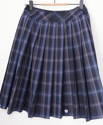 ��ʌ� ���� �H���w�����Z ���q ���� �ĕ��`�F�b�N�X�J�[�g