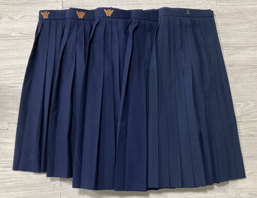 �a�̎R�� 2-3���a�̎R�̊w�Z�̉ăX�J�[�gMIX5���Z�b�g