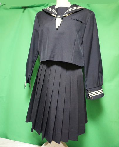 �_�ސ쌧 �ɐ����s���������w�Z�@�~�Z�[���[�Z�b�g�@160AB �E�G�X�g66 