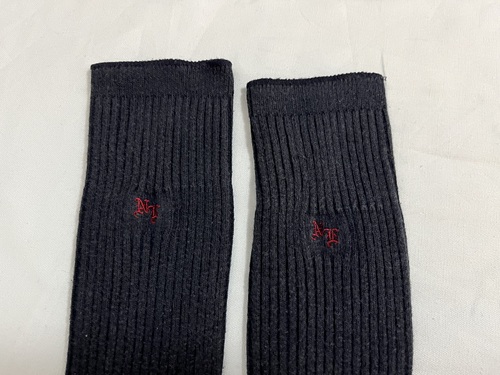 �����s ���{�̈��w�`�������w�Z�@���q�@�w��\�b�N�X�@�C��