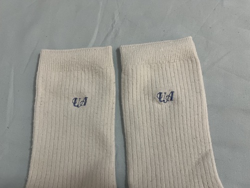 ��ʌ� �Y�a���̐����q���w�Z�����w�Z�@�w��\�b�N�X�@�C��