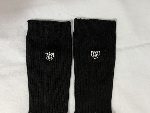 ���{ ���ˈ������w�Z�@���q�@�w��\�b�N�X�@�C��