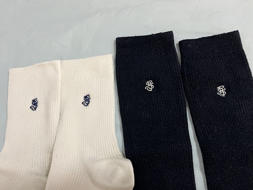 ������ ���؏��q�����w�Z�@�w��\�b�N�X�@�C���@���Ɣ���2��