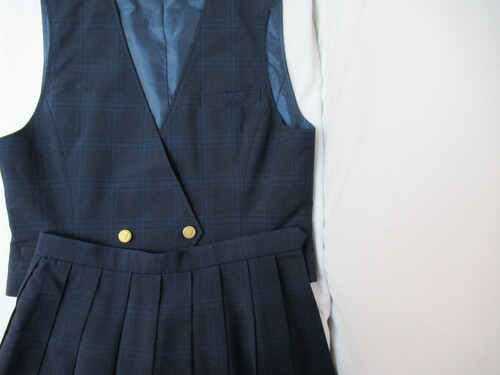 ���ꌧ 8378�@610�@�x�X�g���ăX�J�[�g �R�h���� �`�F�b�N��