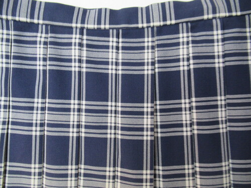 [�s��] 8416�@520�@����T�C�Y�I�~�X�J�[�g SCHOOLTIGER�� ��+�O���[ �`�F�b�N��