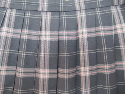 ������ 8422�@420�@�傫�ȃT�C�Y�I�喴�c���Z �~�X�J�[�g ��+�O���[�{�s���N �`�F�b�N��