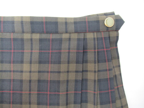 ������ 8441�@380�@��)��}���Z �ăX�J�[�g FUMIYAFUJII ���{���{�� �`�F�b�N��