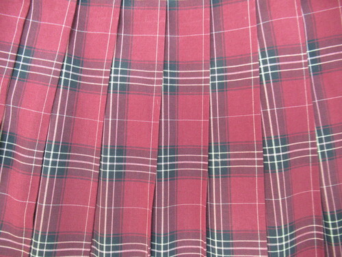 [�s��] 8448�@400�@�ăX�J�[�g SCHOOLTIGER�� �ԁ{���{�N���[�� �`�F�b�N��