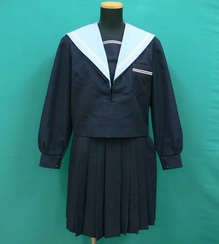 ���{ #1490�@���F�G���J�o�[��2�{���C���̓~�Z�[���[�Z�b�g�@�T�C�YL-55