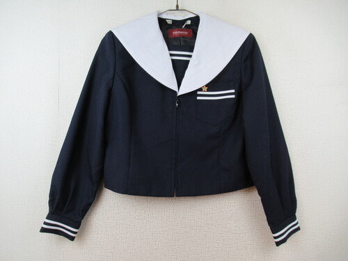 �啪�� 8452�@480�@���c���w �~�Z�[���[�㒅 ���t���� �O�W�b�p�[���g�p