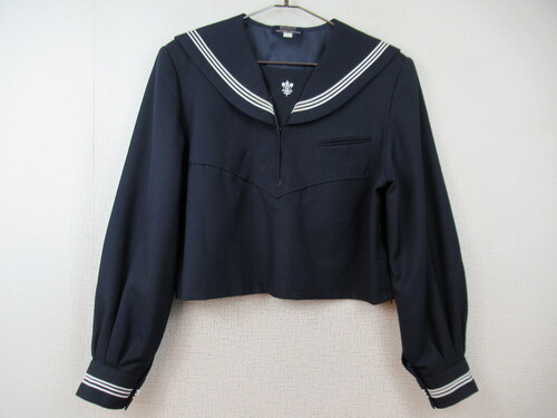 �F�{�� 8455�@480�@�傫�ȃT�C�Y�I���S���w�� �~�Z�[���[�㒅