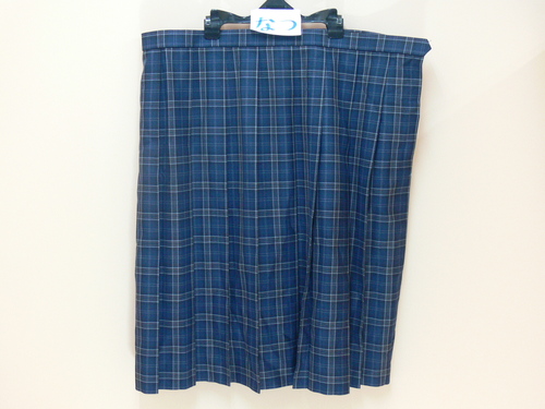 [�s��] ��981����������T�C�Y�I�@�u���[�`�F�b�N���@�F�i�q���@�v���[�c�X�J�[�g