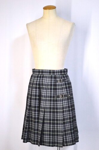  ����ʌ��� ��{�����썂���w�Z �ăX�J�[�g ����x���g�t��T5725