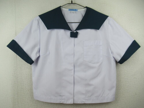 �������� 8479�@230�@�傫�ȃT�C�Y�I��������w����w���������w �ăZ�[���[�㒅 �΋�