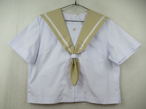 �啪�� 8497�@240�@�傫�ȃT�C�Y�I�k�����w �ăZ�[���[�㒅 �x�[�W���� �O�W�b�p�[���g�p