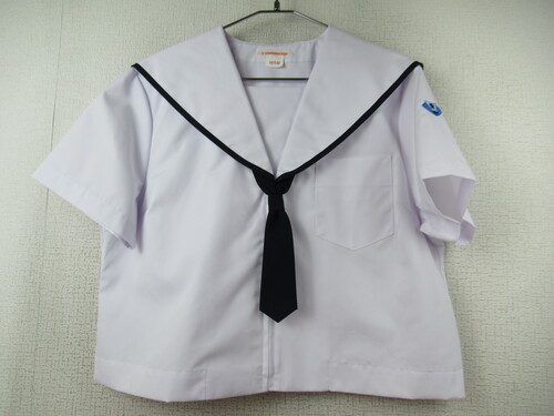 �啪�� 8498�@240�@�傫�ȃT�C�Y�I�A�c�����w �ăZ�[���[�㒅 �^�C�t �O�W�b�p�[���g�p