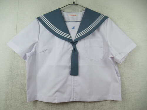 �啪�� 8499�@250�@����T�C�Y�I�ˎ����w �ăZ�[���[�㒅 �O���[�݃^�C�t �O�W�b�p�[���g�p