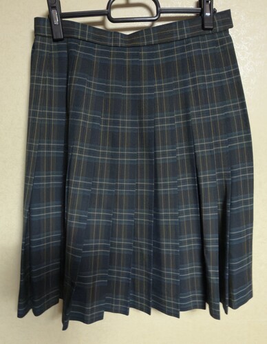 [�s��] �w���X�J�[�g�@�S��