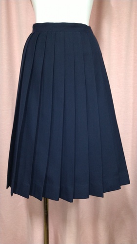 [�s��] No.105  �X�J�[�g �s���~����