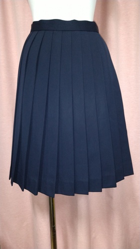 [�s��] No.107  ���n���� �X�J�[�g �s���~����     